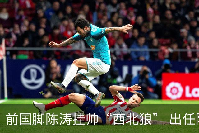 前国脚陈涛挂帅“西北狼” 出任陕西联合一线队主教练